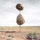 Illustration for article titled What are these mysterious structures in the southern Kalahari?